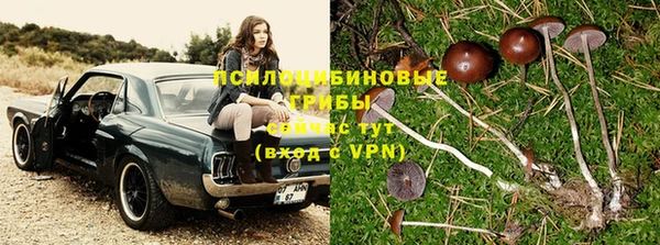 дмт Балабаново
